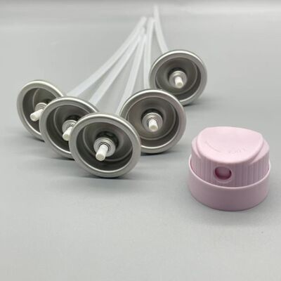 comprar Válvula de Aerossol de Uma Polegada para Shampoo Seco com Dispensador de Névoa Ultrafina, Design Resistente a Entupimentos e Vedação Compacta à Prova de Vazamentos Fabricação em linha