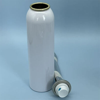 Sistema Aerosol Premium Feminino Bag-on-Valve com Tecnologia Avançada de Barreira Estéril para Aplicações de Spray de Alto Desempenho