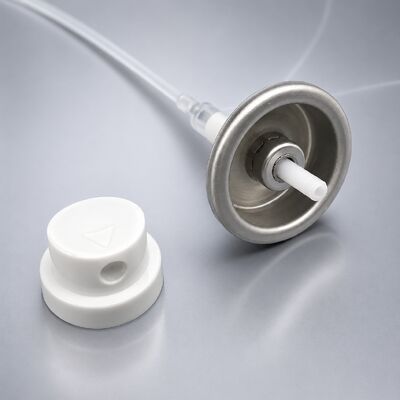 Nome